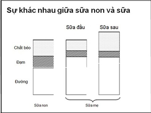Sữa non: Những ngộ nhận đáng tiếc - ảnh 1