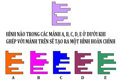 Bài toán thú vị: Hình ghép nào phù hợp? - ảnh 1