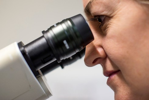 12 loại ung thư có nguy cơ di truyền - ảnh 1