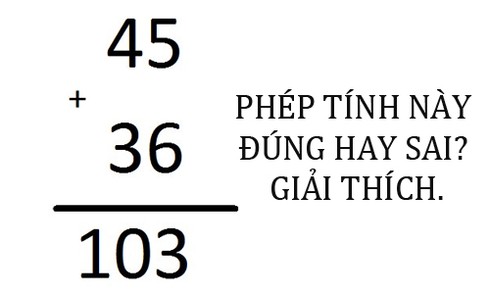 45+36=103: Bài toán này đúng hay sai? - ảnh 1