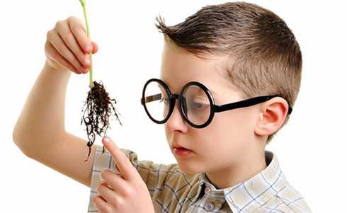 10 cách rèn con thông minh được khoa học chứng minh - ảnh 1