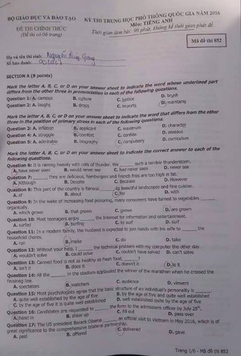 Đề thi tiếng Anh kỳ thi THPT quốc gia năm 2016 - ảnh 13