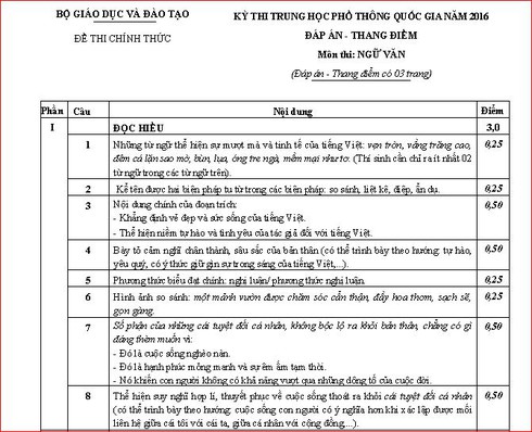 Đáp án môn Văn chính thức kỳ thi THPT quốc gia 2016 - ảnh 2