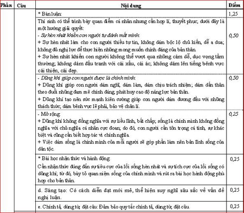 Đáp án môn Văn chính thức kỳ thi THPT quốc gia 2016 - ảnh 4
