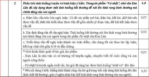 Đáp án môn Văn chính thức kỳ thi THPT quốc gia 2016 - ảnh 5