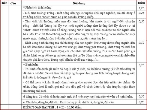 Đáp án môn Văn chính thức kỳ thi THPT quốc gia 2016 - ảnh 6