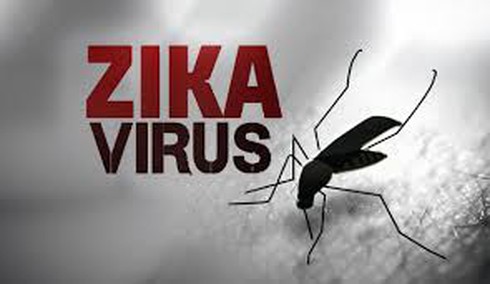 Một bệnh nhân ở Phú Yên dương tính với virus Zika - ảnh 1