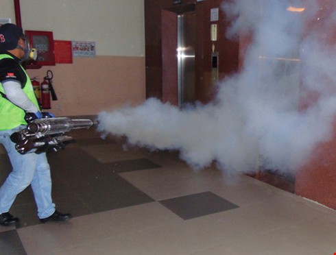 Tử vong vì sốt xuất huyết do không đi tái khám - ảnh 1