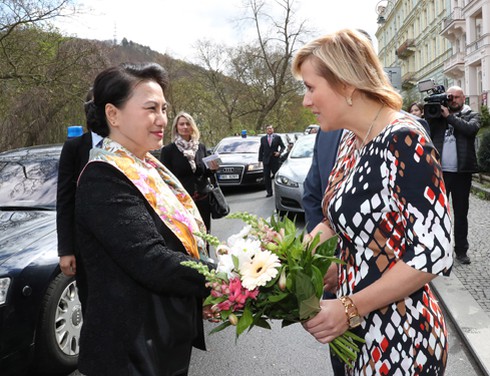 Mong muốn tỉnh Karlovy Vary (CH Czech) hợp tác với các địa phương Việt Nam - ảnh 1