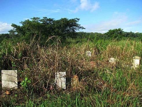 Phước tám ngón' và câu chuyện khởi đầu tội lỗi