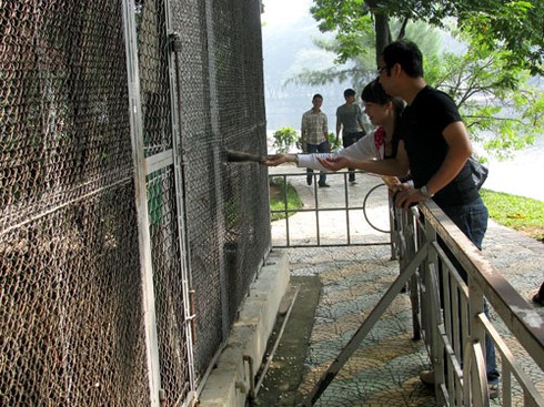 Voi, hà mã bị đầy ải giữa Thủ đô