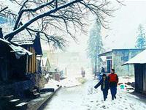 Mùa đông năm nay Sapa không có tuyết rơi