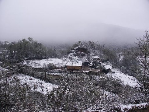 Mùa đông năm nay Sapa không có tuyết rơi