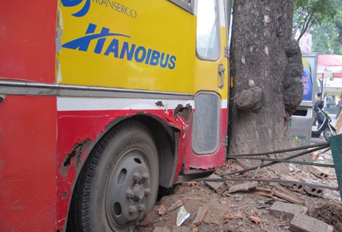 Mất phanh, xe bus dùng... gốc cây cổ thụ để giảm tốc