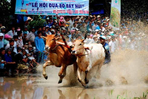 Người Kh’mer đã sẵn sàng khai hội