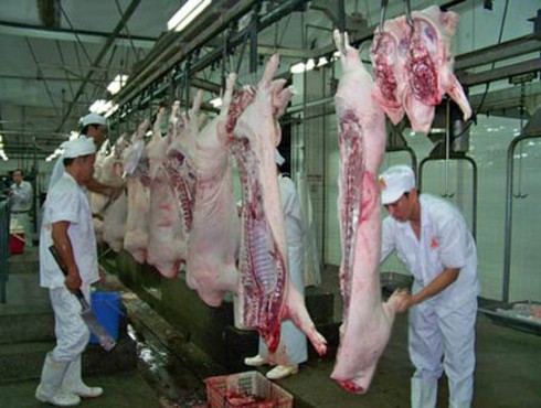 Xây dựng cụm công nghiệp thực phẩm lớn nhất Việt Nam