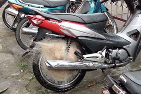 Quăng lưới bắt người: Khác nào `chọc gậy bánh xe`