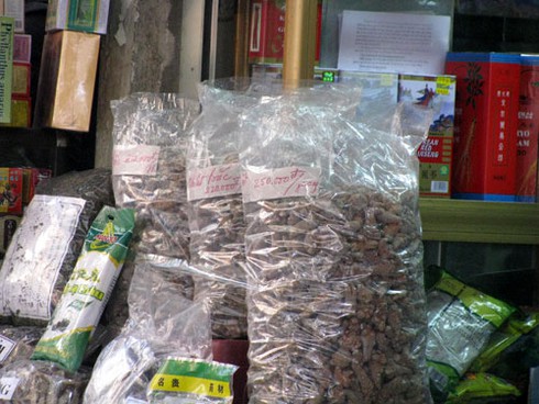 Thuốc cam: Người mua hoang mang, cửa hàng điêu đứng