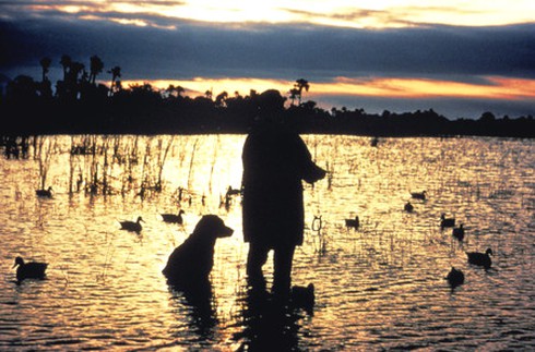 Bị cún cưng xả đạn lúc đi săn