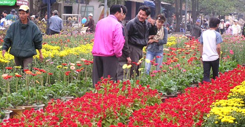 Đà Nẵng: Công khai bốc thăm điểm chợ hoa Tết