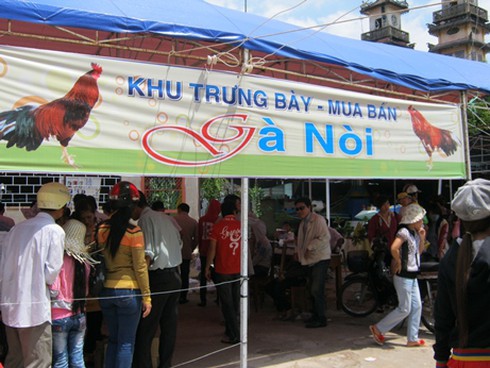 Nóng bỏng thị trường gà đá