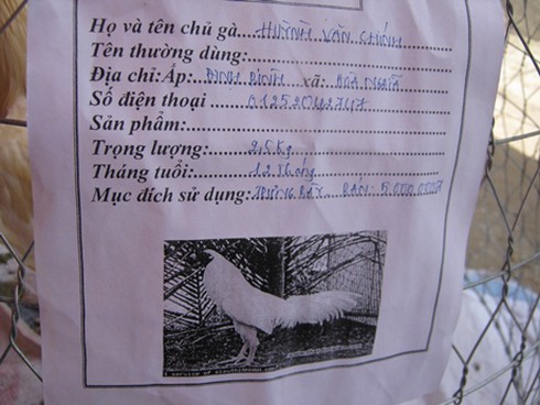 Nóng bỏng thị trường gà đá