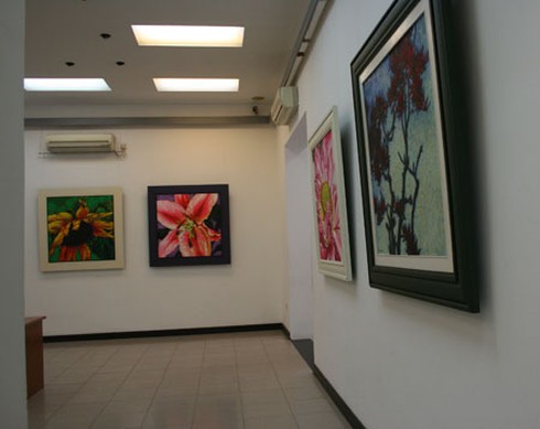 Họa sĩ Còm: Chán hí họa chuyển sang vẽ hoa