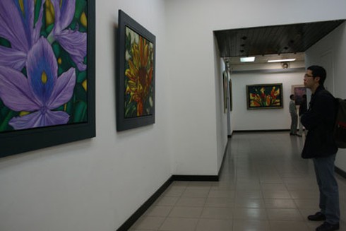 Họa sĩ Còm: Chán hí họa chuyển sang vẽ hoa