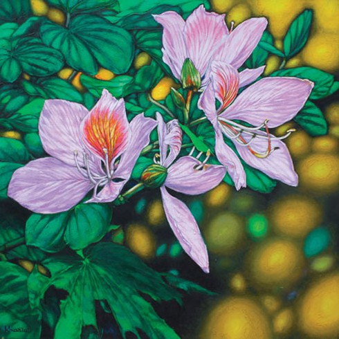 Họa sĩ Còm: Chán hí họa chuyển sang vẽ hoa