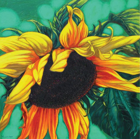 Họa sĩ Còm: Chán hí họa chuyển sang vẽ hoa