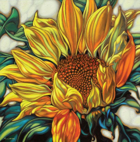 Họa sĩ Còm: Chán hí họa chuyển sang vẽ hoa