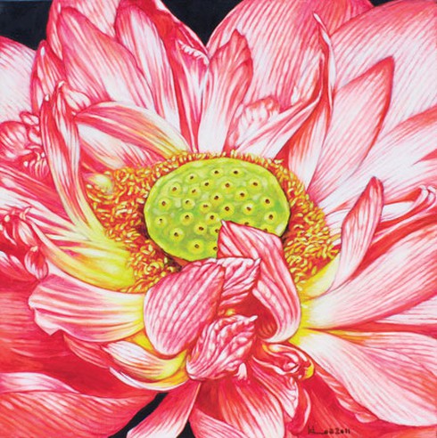 Họa sĩ Còm: Chán hí họa chuyển sang vẽ hoa