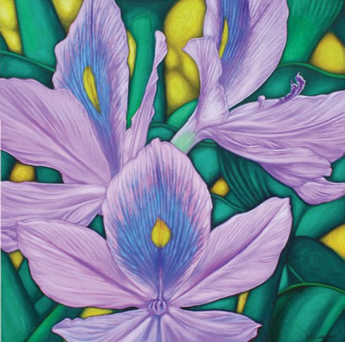 Họa sĩ Còm: Chán hí họa chuyển sang vẽ hoa