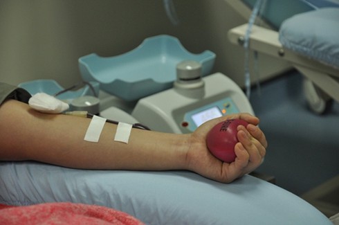Truyền máu hoàn hồi: `Cứu tinh` mới cho người bệnh