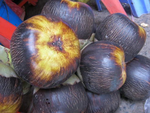 An Giang: Thốt nốt vào mùa