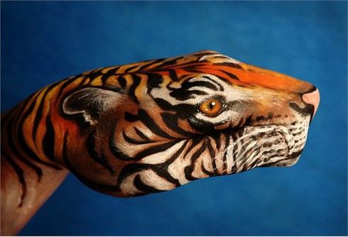 Chiêm ngưỡng thế giới động vật sống động trên đôi bàn tay