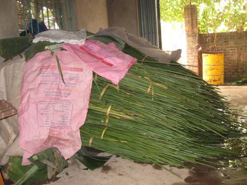 Lá dong Tràng Cát “ngóng” Tết