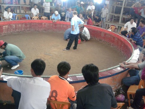 Đá gà ở Heng Heng: Nhiều khách Việt `thất điên bát đảo` (Kỳ cuối)