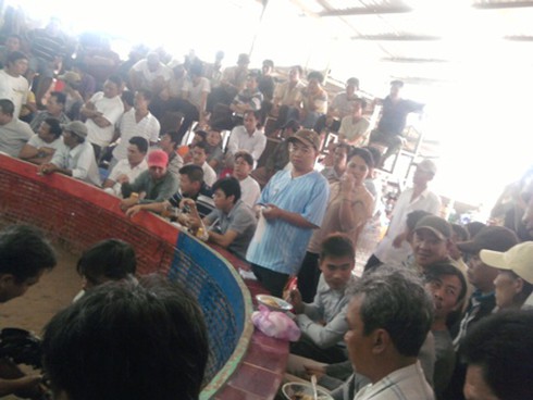 Đá gà ở Heng Heng: Nhiều khách Việt `thất điên bát đảo` (Kỳ cuối)