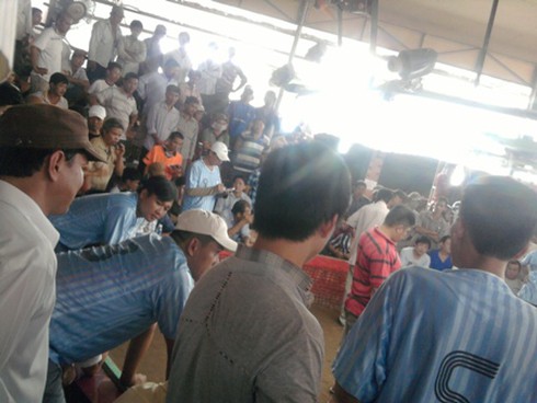 Đá gà ở Heng Heng: Nhiều khách Việt `thất điên bát đảo` (Kỳ cuối)