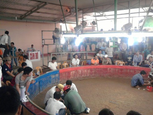 Đá gà ở Heng Heng: Nhiều khách Việt `thất điên bát đảo` (Kỳ cuối)