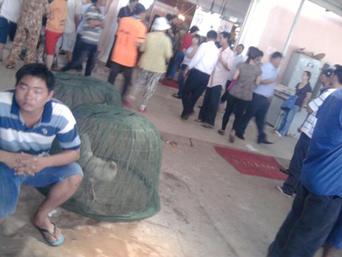 Đá gà ở Heng Heng: Nhiều khách Việt `thất điên bát đảo` (Kỳ cuối)