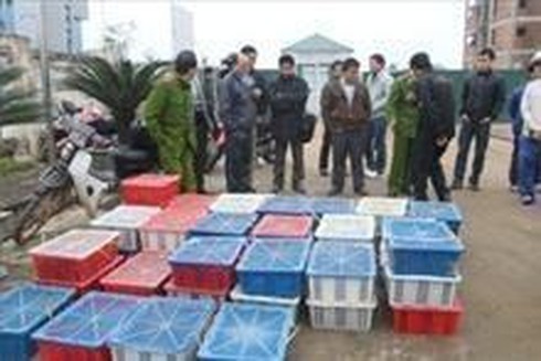 Phát hiện, bắt giữ xe chở gần 2 tấn động vật hoang dã