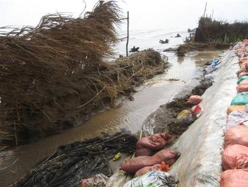 Trà Vinh: Hơn 14 tỷ đồng `trôi` theo đợt triều cường cuối năm