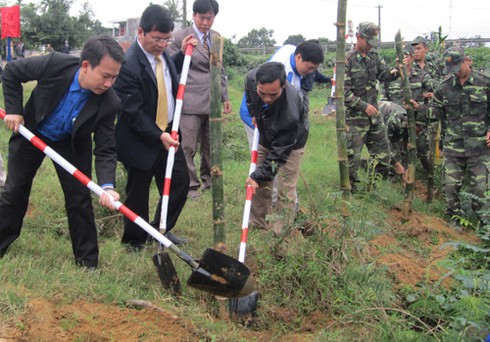 Quảng Ngãi: Trồng hơn 1.000 gốc tre bảo vệ khu dân cư