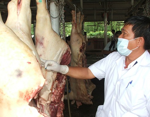 Thực phẩm bẩn tràn lan khắp nơi