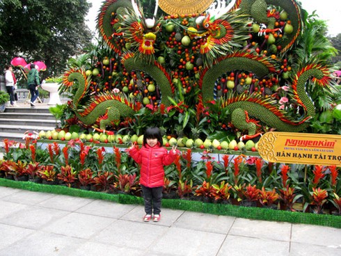 Náo nức chiêm ngưỡng Phố-Hoa Hà Nội