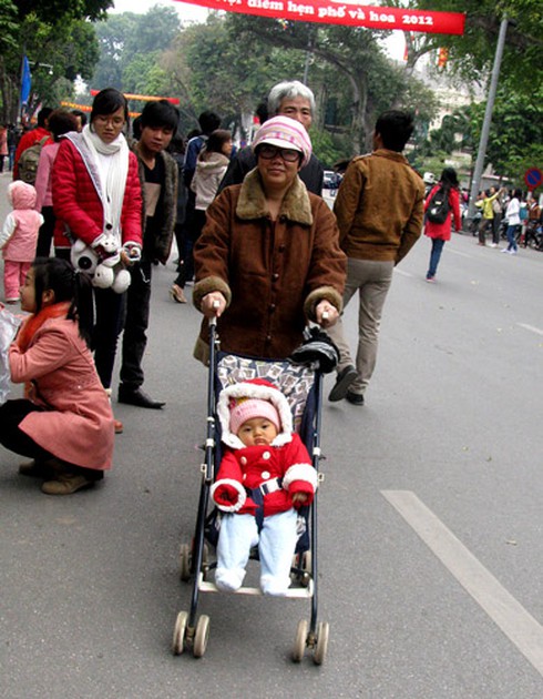 Náo nức chiêm ngưỡng Phố-Hoa Hà Nội