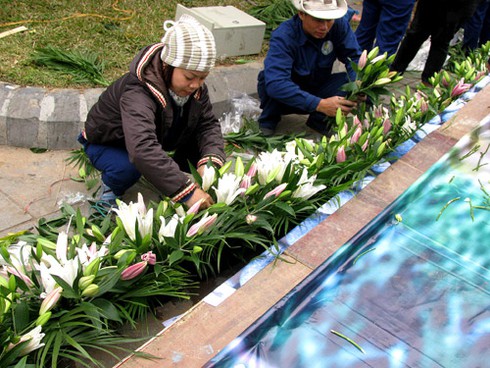 Náo nức chiêm ngưỡng Phố-Hoa Hà Nội