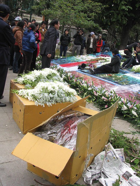 Náo nức chiêm ngưỡng Phố-Hoa Hà Nội